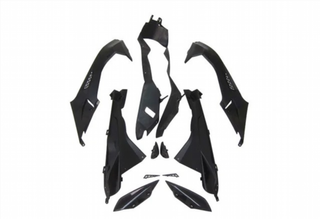 CARENADO PINTADO BMW S1000R 2009-2014