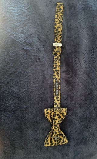 Pajarita Zara Animal Print