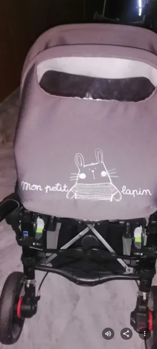 Carro de paseo gris con dibujo de conejo