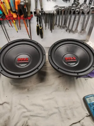 Pareja graves de 12 pulgadas