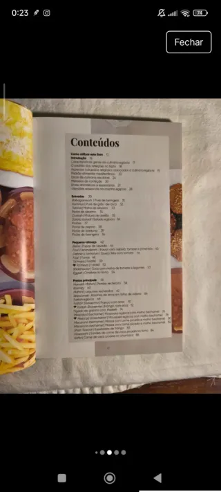 Livro Sabores Egípcios