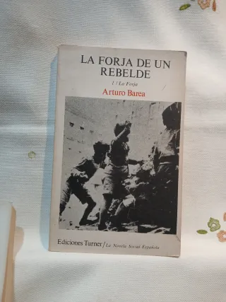 Guerra y vicisitudes de los Españoles