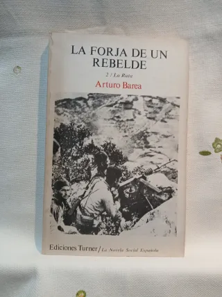 Guerra y vicisitudes de los Españoles