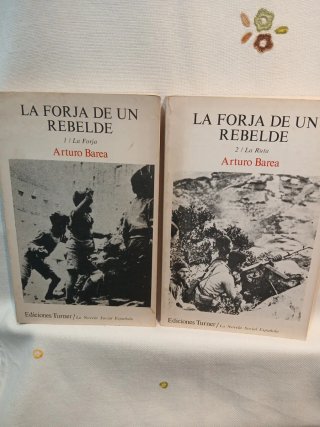 Guerra y vicisitudes de los Españoles