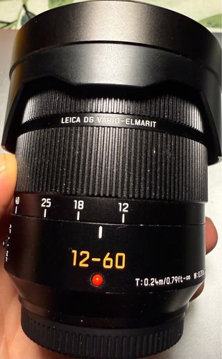 Panasonic Lumix GH5II + Leica 12-60.