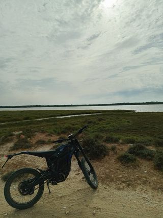 Talaria Sting Pro Negra/Azul