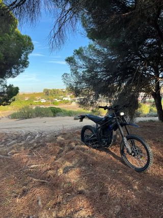 Talaria Sting Pro Negra/Azul