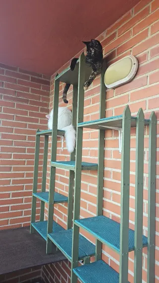 Manitas a domicilio.