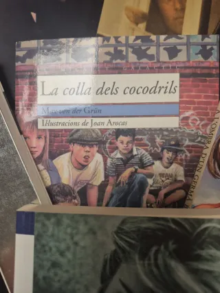 Colección de libros en valenciano