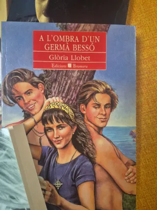 Colección de libros en valenciano