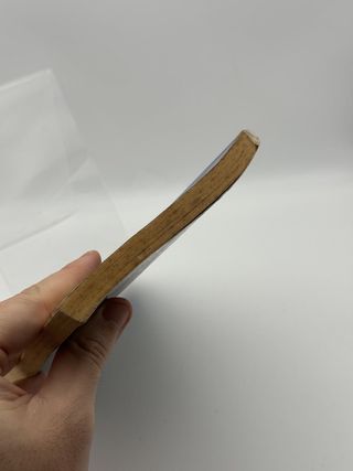 La Invasión de los estrujadores (I) - R. L. Stine