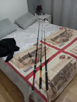 Cañas de pescar