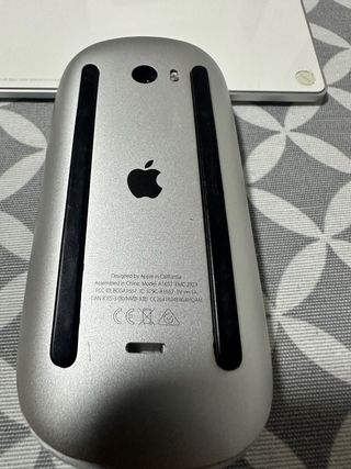 Lote Teclado y Ratón Apple Magic (2ª Gen)
