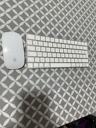 Lote Teclado y Ratón Apple Magic (2ª Gen)