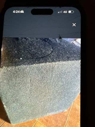 Subwoofer Mac Audio 12BP 1000W