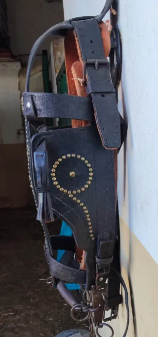 Cabezada Mul@ Grande Ajustable