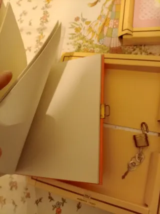 Diario segreto vintage Playtime