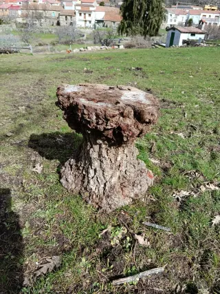 3 apollos de madera natural