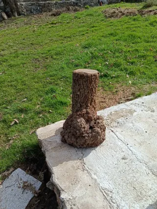 3 apollos de madera natural