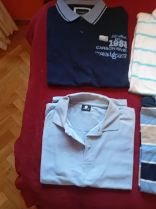 Lote de pantalones  y nikis polos varios colores