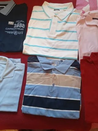 Lote de pantalones  y nikis polos varios colores