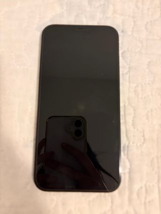 iPhone 12 Pro Max Blu