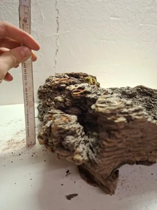 Corteccia di Larice Naturale