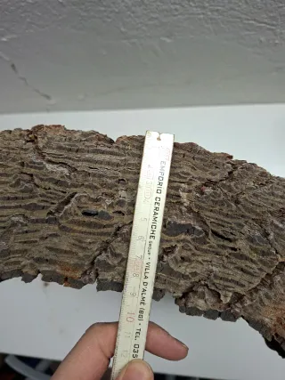 Corteccia di Larice Naturale