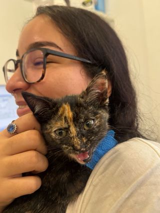 AYUDA A DOMICILIO DOMESTICA