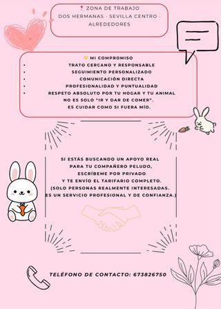 AYUDA A DOMICILIO DOMESTICA