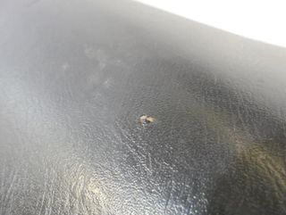 Peugeot asiento looxor 100 . 29556