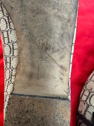 Zapatos CH Bailarinas Beige y Marrón