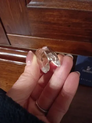 Swarovski Conchiglia con Perla