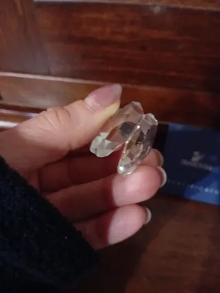 Swarovski Conchiglia con Perla