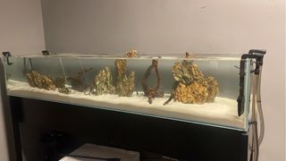 Acuario 200x50x36 cm