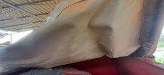 2 Sembradora neumática / pulpo Sola 5 metros.