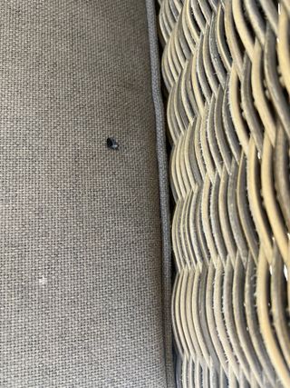 Pareja butacas ratán sintetico Becara