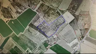 Finca  Rustica a 18 min de Alicante