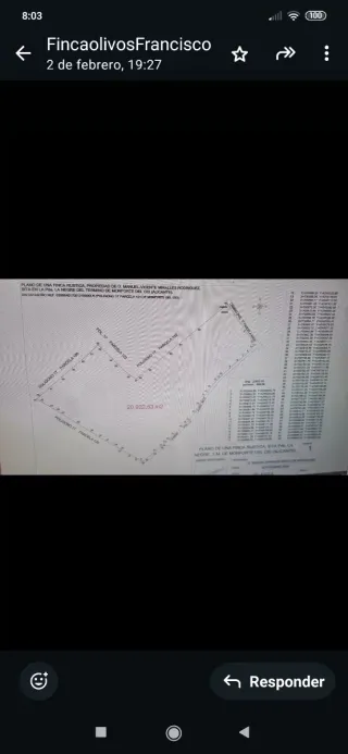 Finca  Rustica a 18 min de Alicante