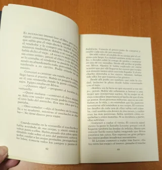 El alquimista. Paulo Coelho.