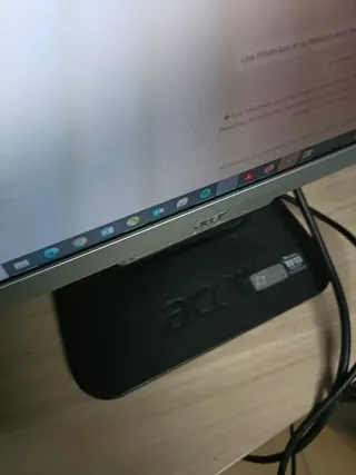 Pantalla Ordenador Acer AL1916W