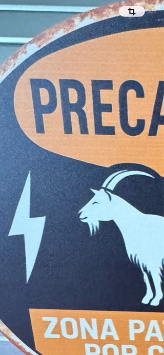 Lote 4 Carteles Decorativos Fina