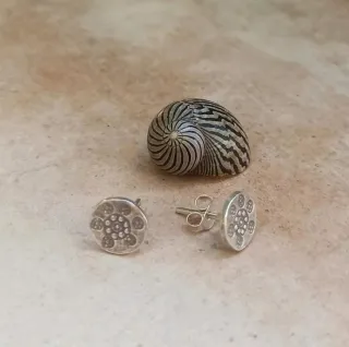 Pendientes de Plata