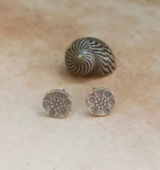 Pendientes de Plata