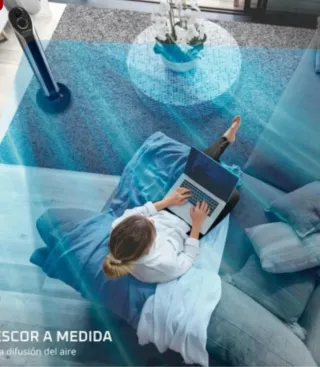 Ventilador Torre Rowenta Negro y Plata