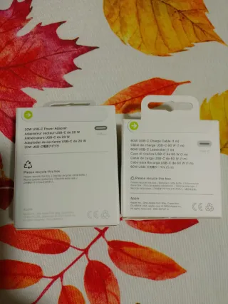 Caricabatterie Apple USB-C 20W e cavo 60W