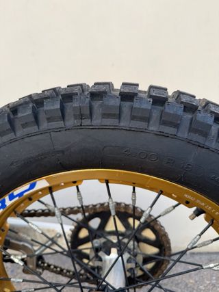 Beta EVO Factory 2019