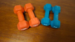 Manubri palestra 2kg e 3kg