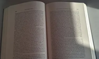 Políticas y estrategias de prevención del delit...
