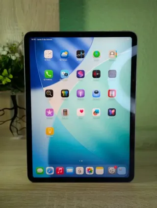 iPad Pro 11 Gris Espacial